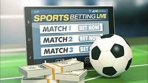 The Ultimate Guide to Betting Exploring Betbedt The Ultimate Guide to Betting Exploring Betbedt