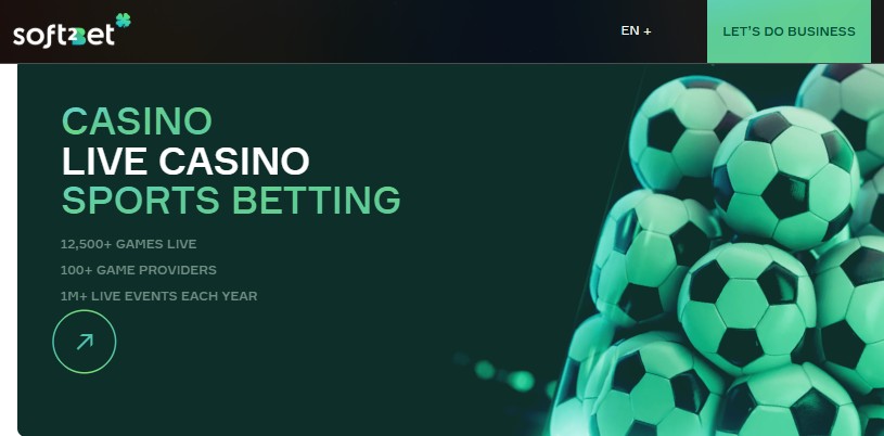 The Visionary Leadership Behind Soft2Bet Owner Success The Visionary Leadership Behind Soft2Bet Owner Success