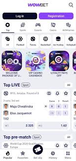 wowbet без паспорта новый взгляд на онлайн-игры