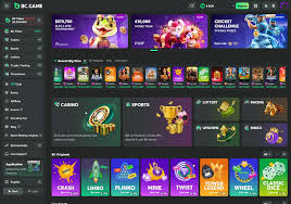 Exploring the Cameroon BC Game A New Era of Online Gaming