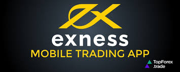 Exploring the Diverse Exness Trading Instruments
