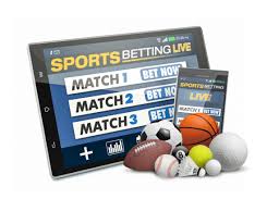 Betwinner Your Go-To Online Betting Platform