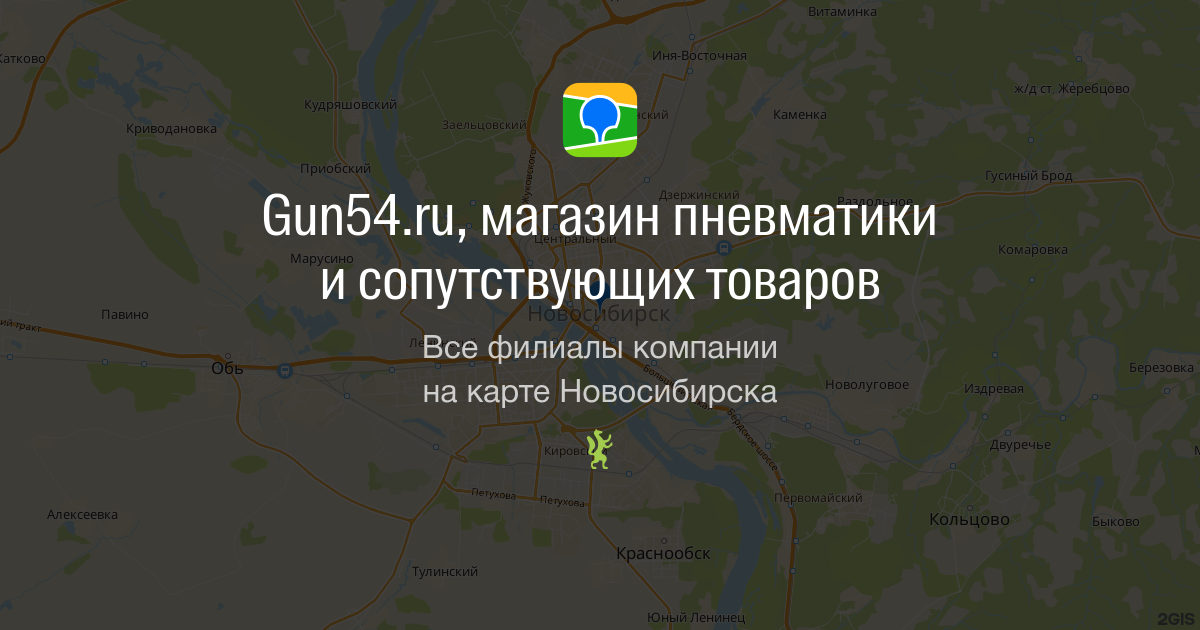 Купить пневматическую винтовку в Новосибирске - Безопасность и Качество