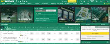 Unleashing the Gaming Excitement BetWinner Mobile Casino